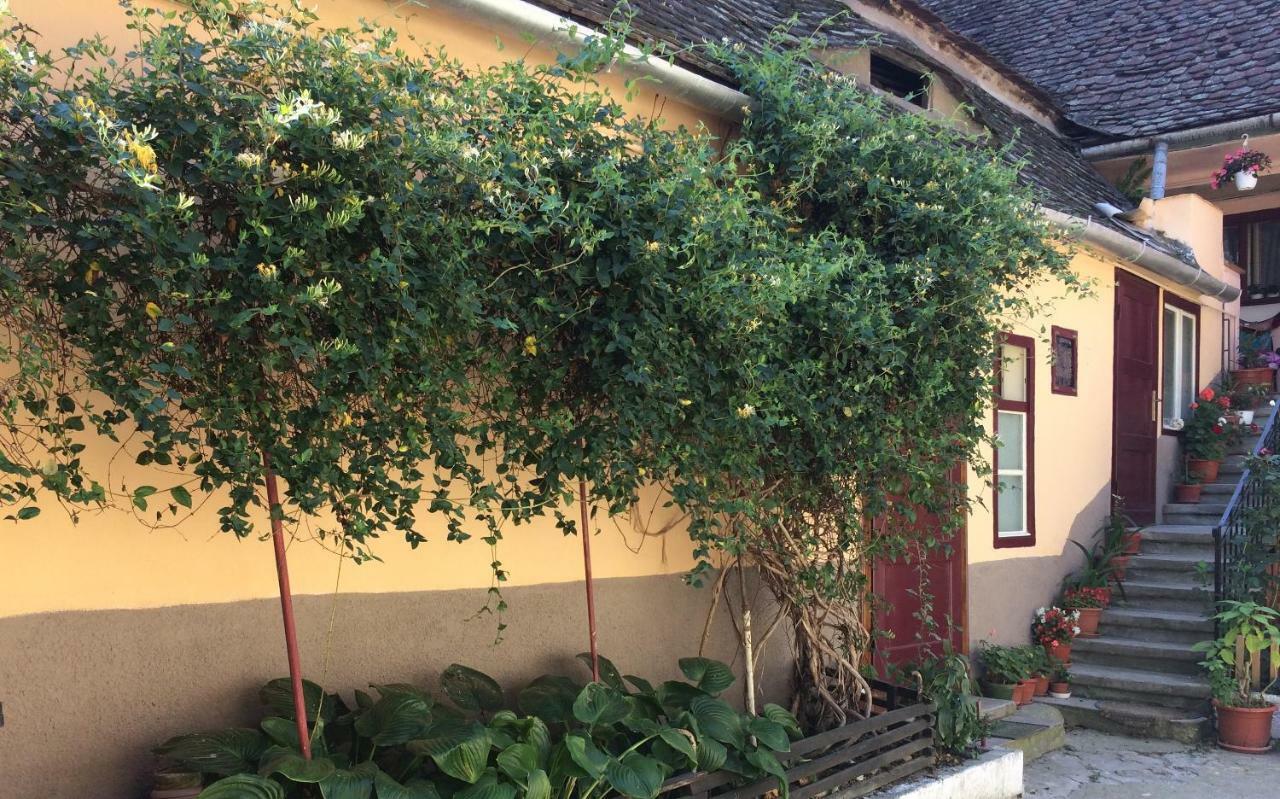 Iony Apartament Sibiu Exterior photo